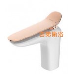 121111WS面盆龍頭玫瑰金