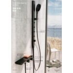 0022810K鋼花玻璃面板淋浴龍頭+SPA噴頭4只滑桿